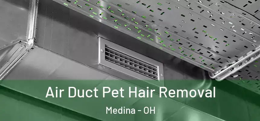  Air Duct Pet Hair Removal Medina - OH