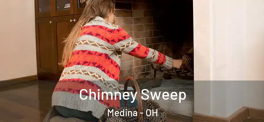  Chimney Sweep Medina - OH