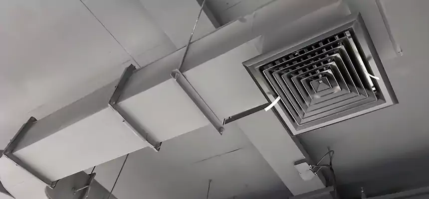 Restorative Allergy Relief Vent Cleaning – Coil, Blower & Housing Detail in Medina