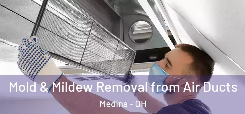 Mold & Mildew Removal from Air Ducts Medina - OH