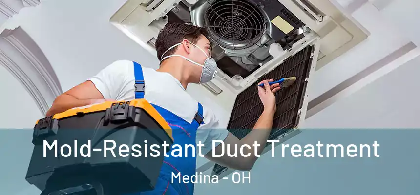  Mold-Resistant Duct Treatment Medina - OH