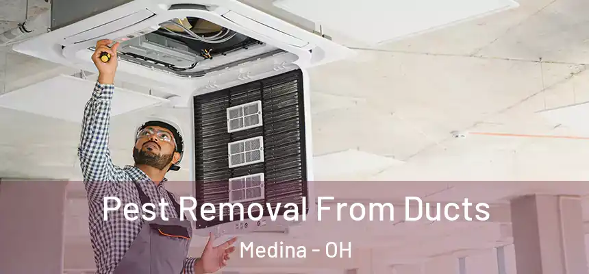 Pest Removal From Ducts Medina - OH