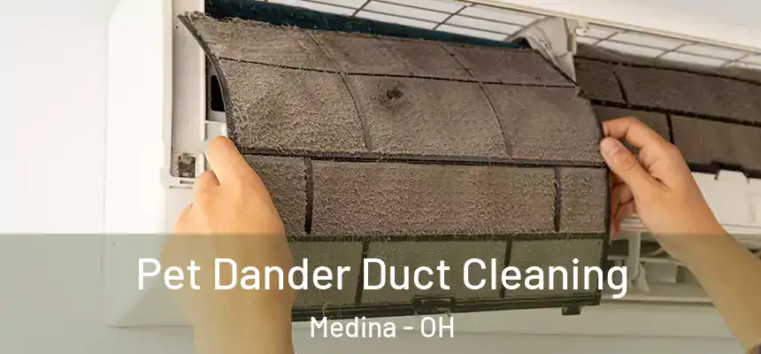  Pet Dander Duct Cleaning Medina - OH