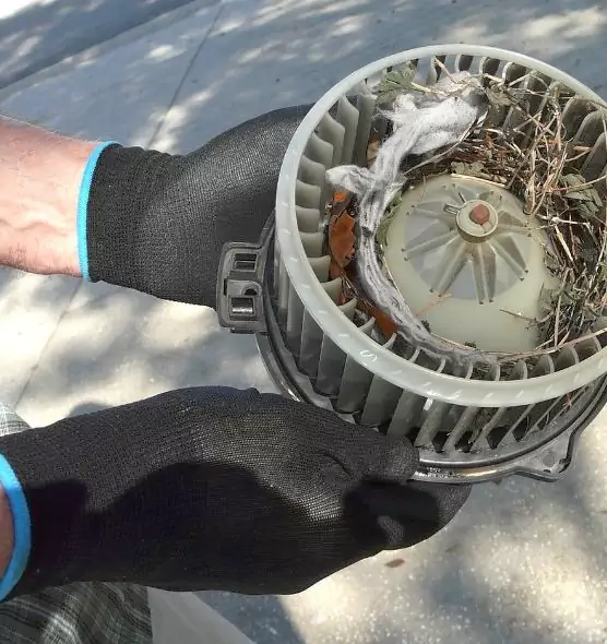 About Air Duct Rat Removal in Medina, OH